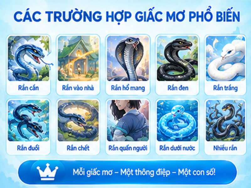 Bảng Tổng Hợp Mơ Thấy Rắn Đánh Con Gì