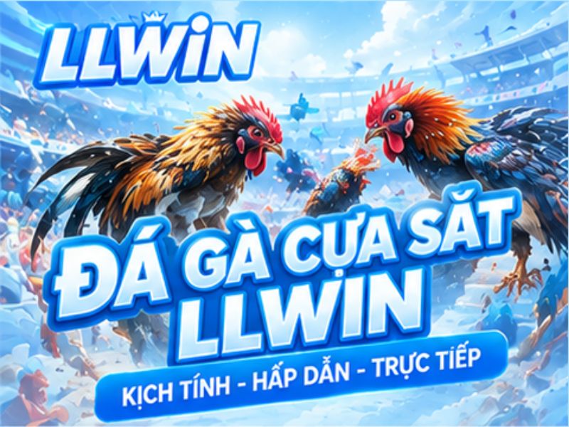 Đá Gà Cựa Sắt LLWIN