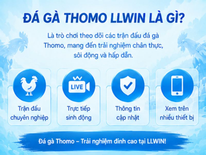 Đá Gà Thomo LLWIN Là Gì