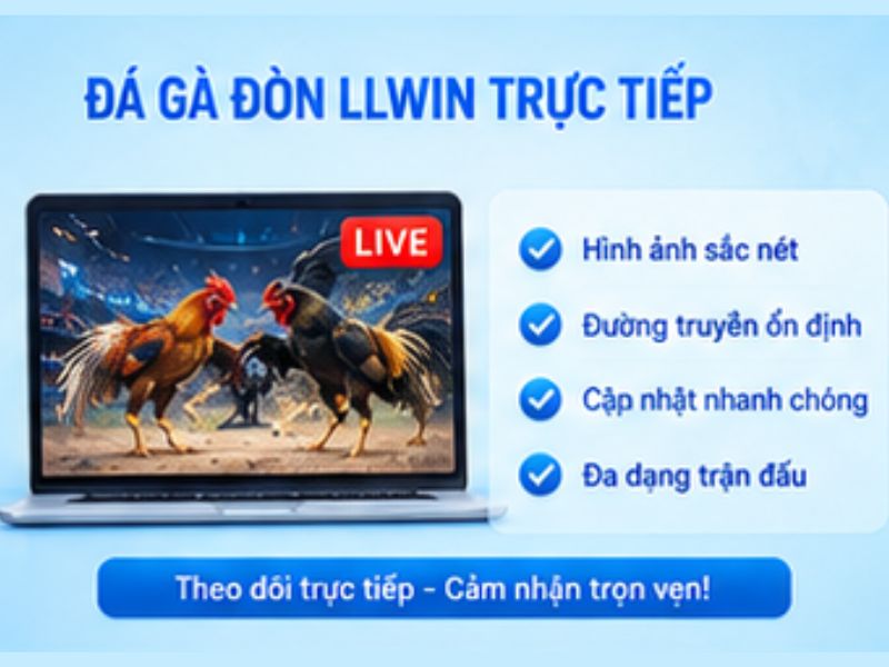 Đá gà đòn LLWIN trực tiếp có gì hấp dẫn