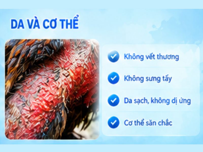 Kiểm tra da và cơ thể