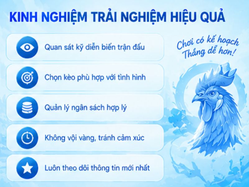 Kinh Nghiệm Theo Dõi Đá Gà Thomo LLWIN
