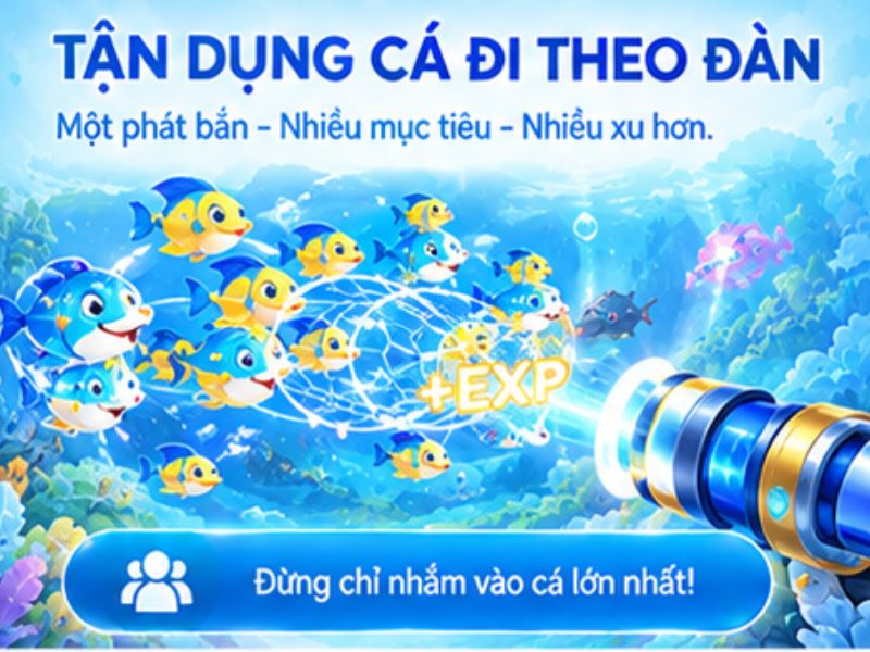 Mẹo Bắn Cá Theo Đàn