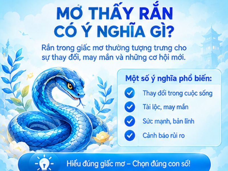 Mơ Thấy Rắn Có Ý Nghĩa Gì