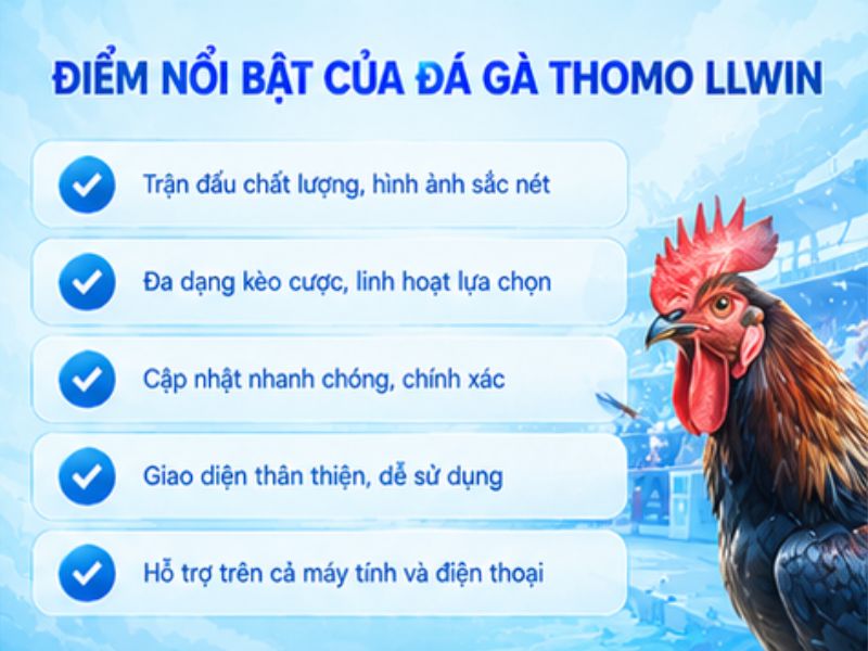 Những Điểm Đáng Chú Ý Khi Theo Dõi Đá Gà Thomo LLWIN