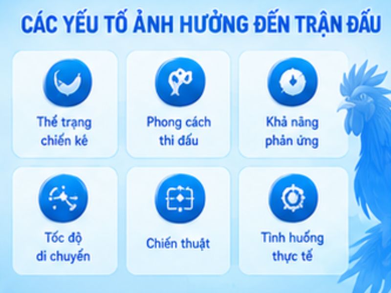 Những yếu tố cần quan sát khi theo dõi đá gà cựa dao LLWIN