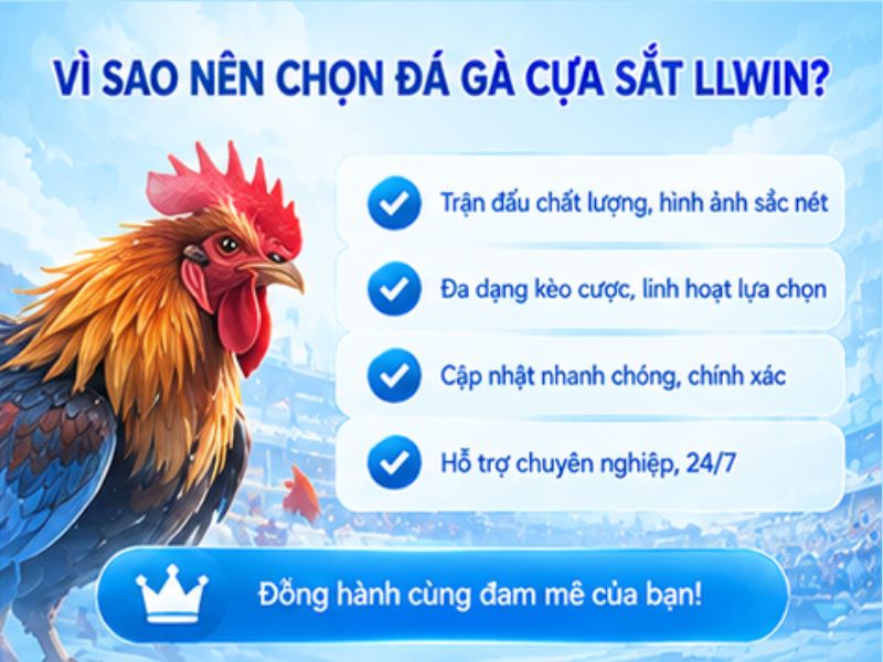 Vì Sao Đá Gà Cựa Sắt LLWIN Được Nhiều Người Quan Tâm