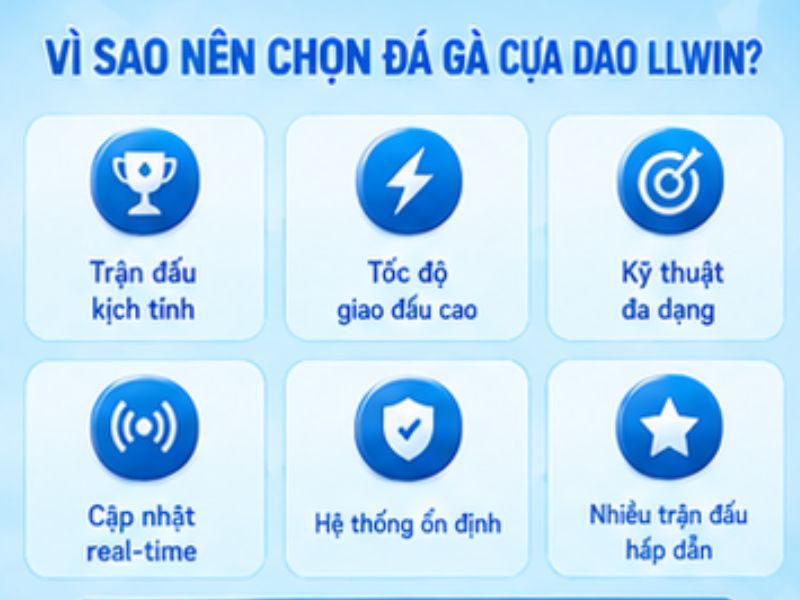 Vì sao đá gà cựa dao LLWIN thu hút sự quan tâm